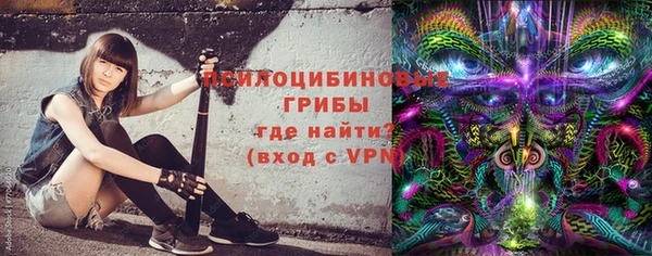 Альфа ПВП Дмитриев