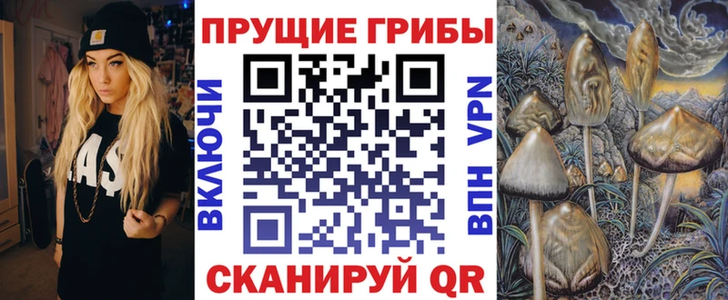 Галлюциногенные грибы прущие грибы  Купить закладки  Лихославль 